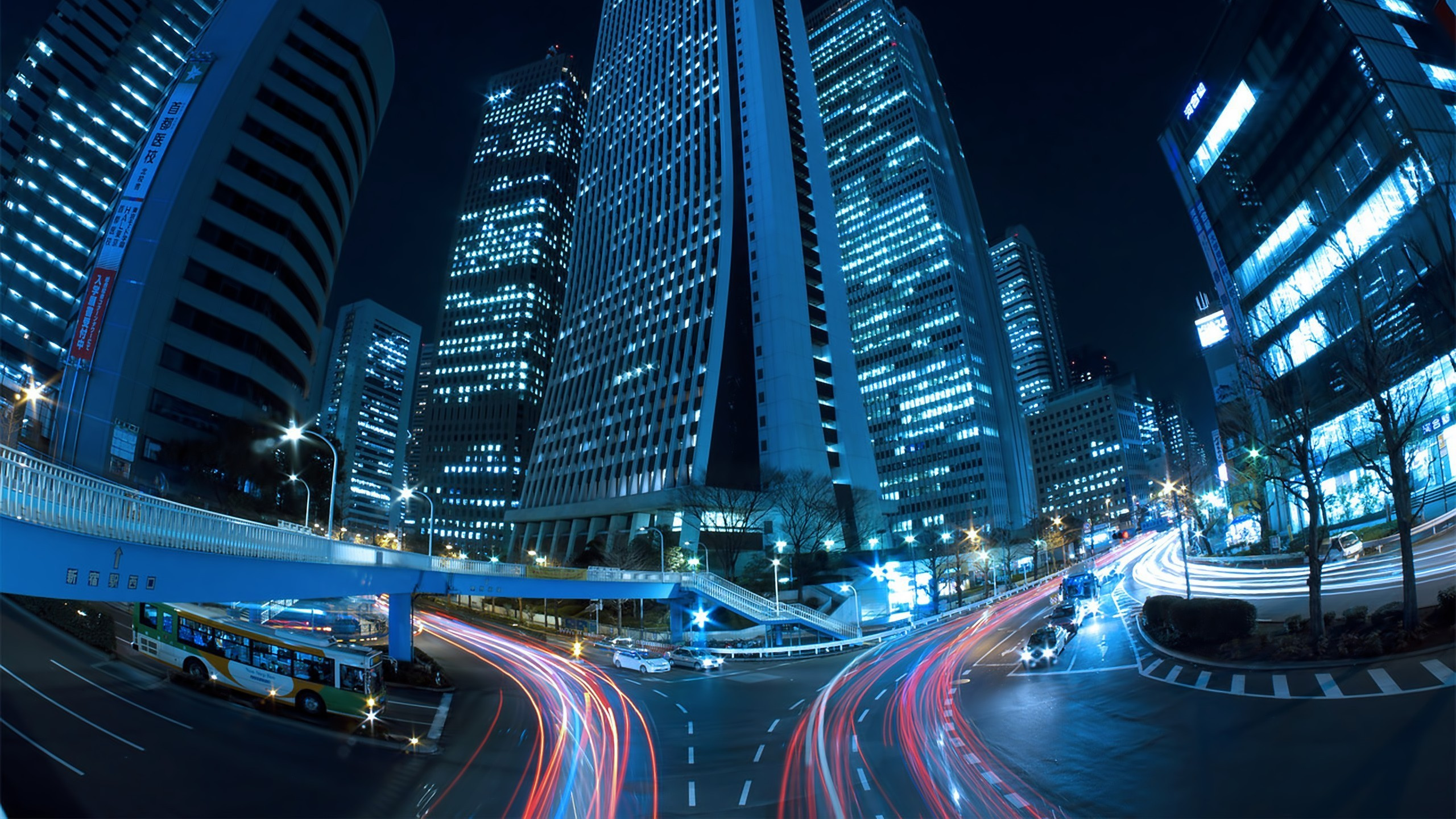 Обои ночь, метрополия, город, синий, городской район в разрешении 2560x1440