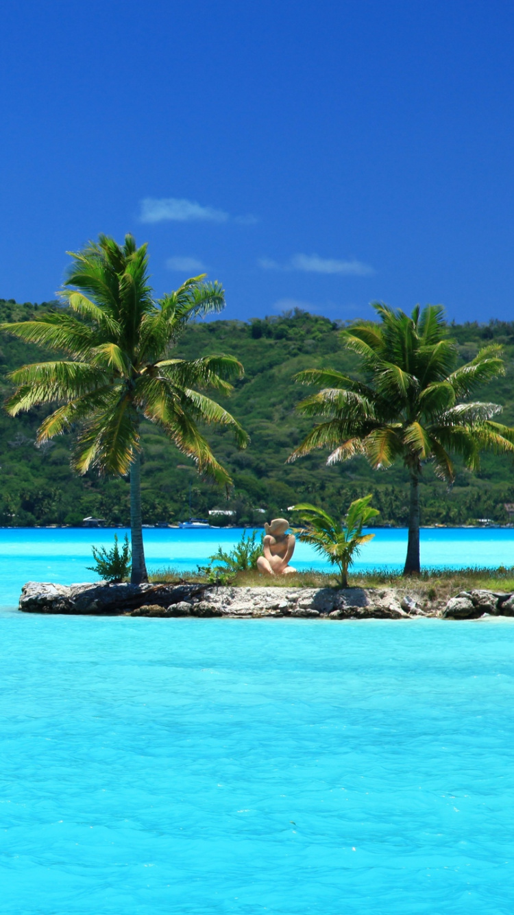 Обои тропическая зона, море, Карибский бассейн, прибрежные и океанические рельефы, туризм в разрешении 750x1334