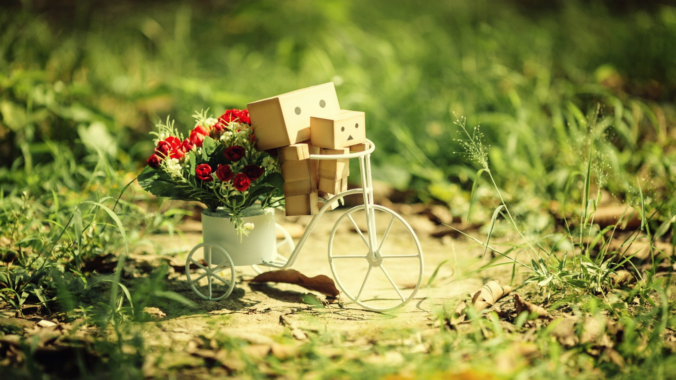 Обои цветы, травы, велосипед в разрешении 1366x768