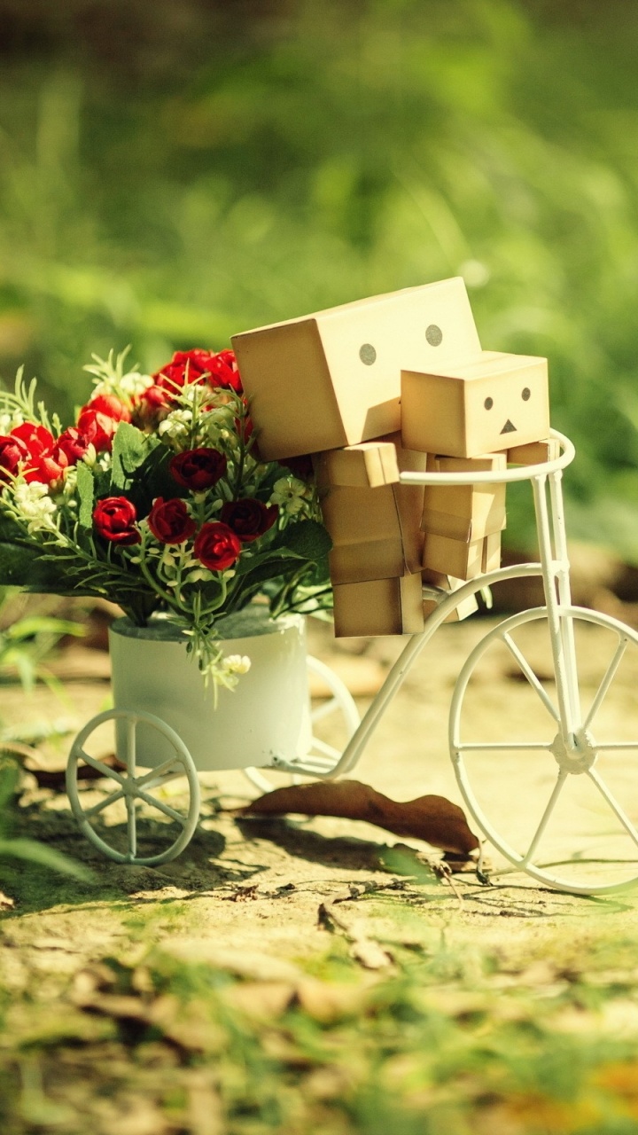Обои цветы, травы, велосипед в разрешении 720x1280
