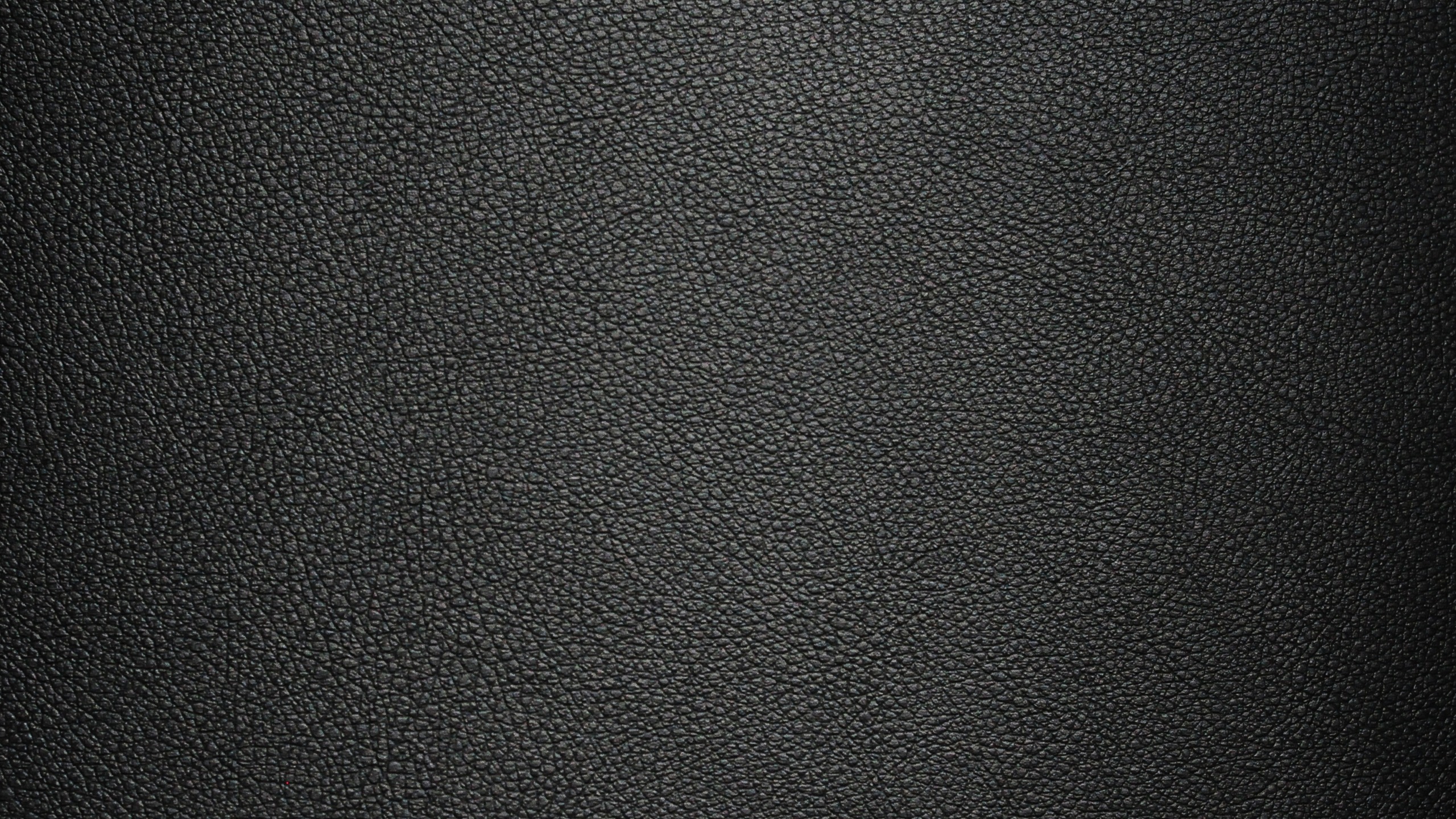 Обои монохромный, черный и белый, черный, узор, поверхности кожи в разрешении 2560x1440