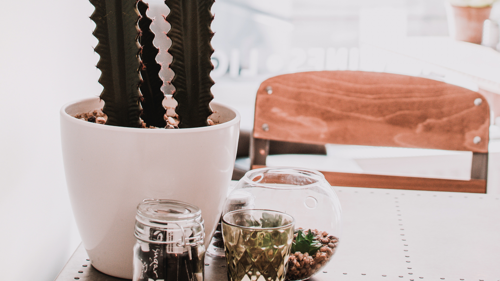 Обои цветок, суккулент, искусственный цветок, комнатное растение, caryophyllales в разрешении 1920x1080