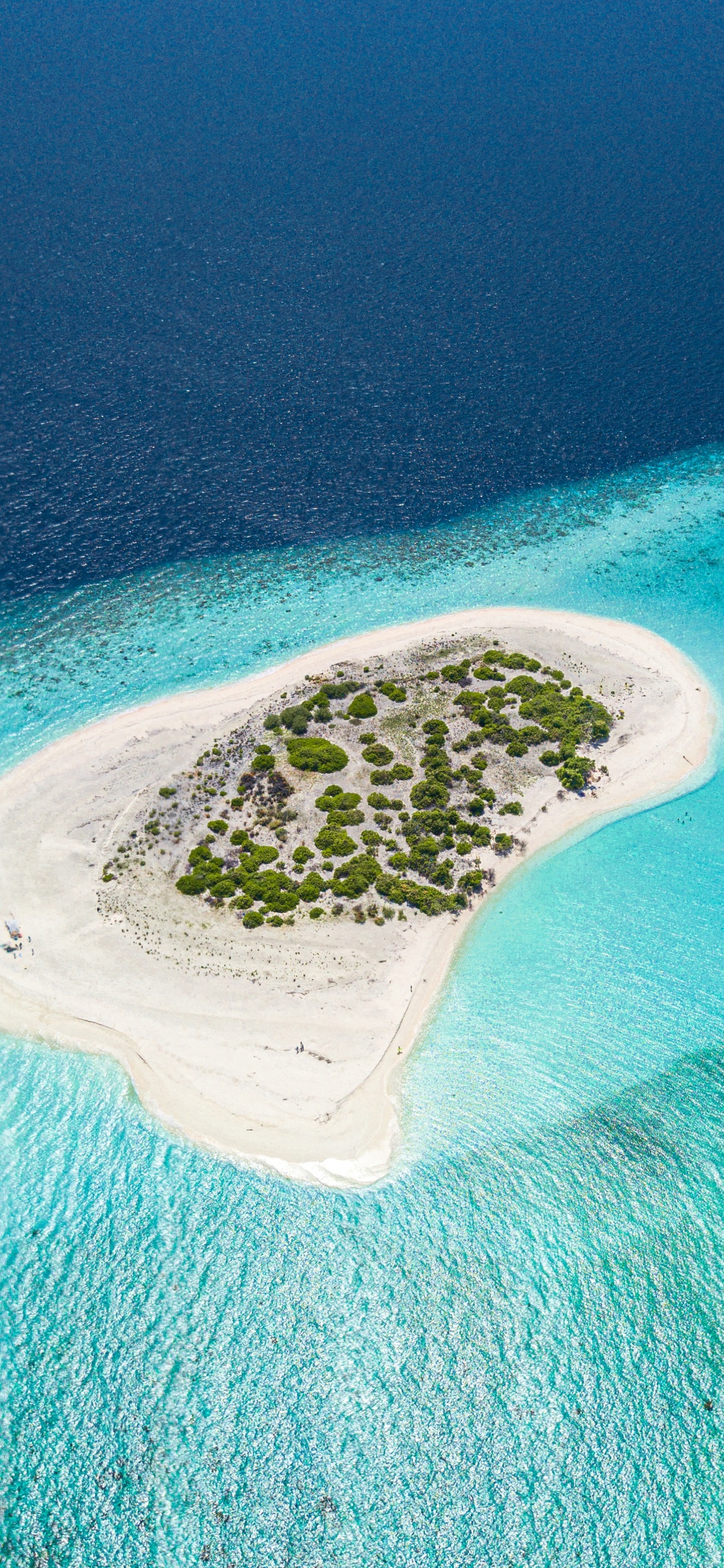 Обои прибрежные и океанические рельефы, Остров, Атолл, островок, архипелаг в разрешении 1125x2436