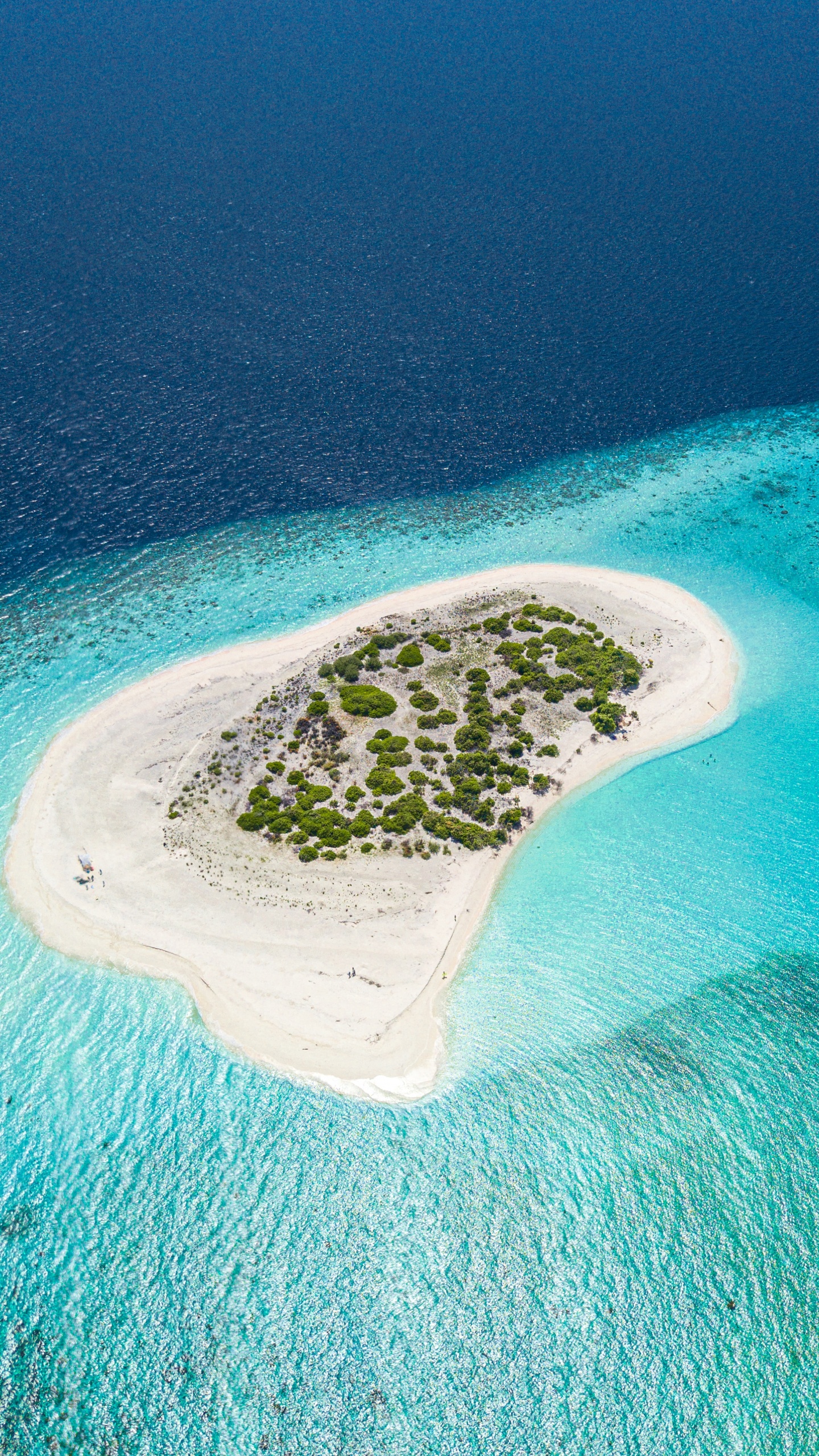 Обои прибрежные и океанические рельефы, Остров, Атолл, островок, архипелаг в разрешении 1440x2560