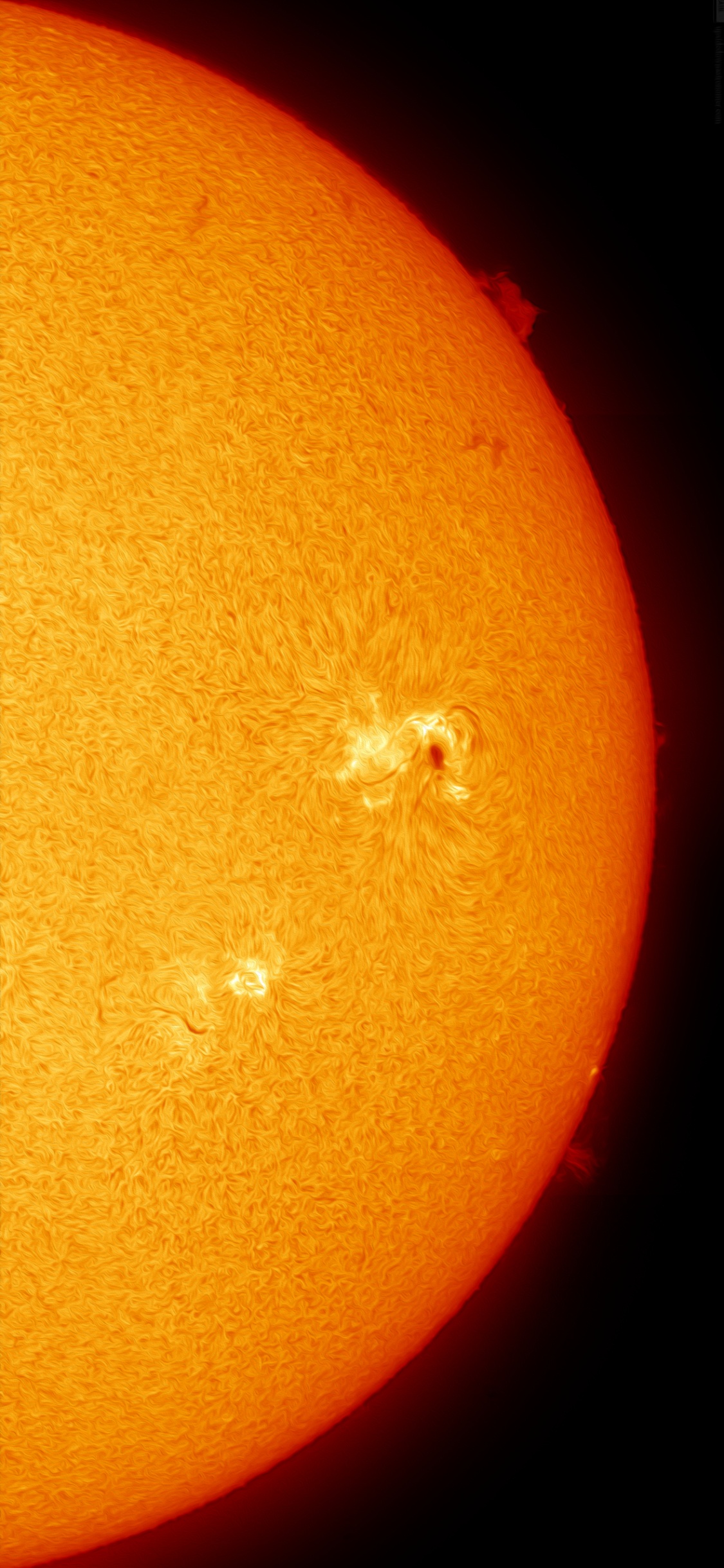 Обои Рангпур, Янтарь, фрукты, Оранжевый цвет, астрономический объект в разрешении 1125x2436