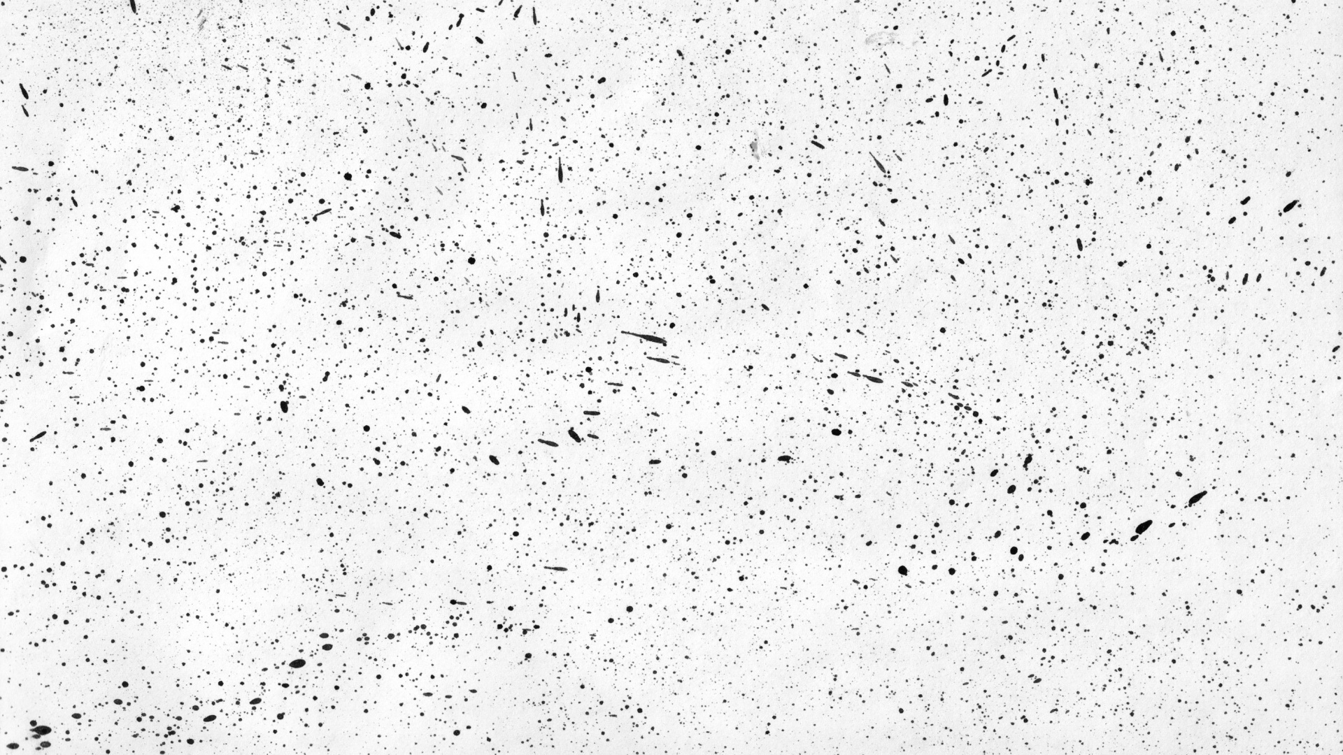 Обои белые, черный и белый, узор, линия, небо в разрешении 1920x1080