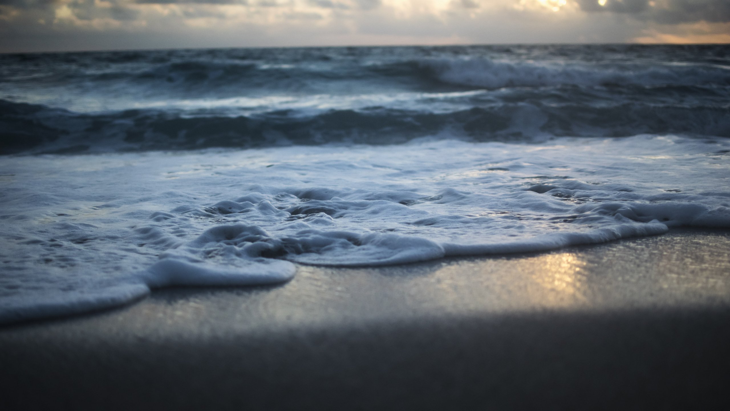 Обои море, волна, океан, ветровая волна, берег в разрешении 2560x1440