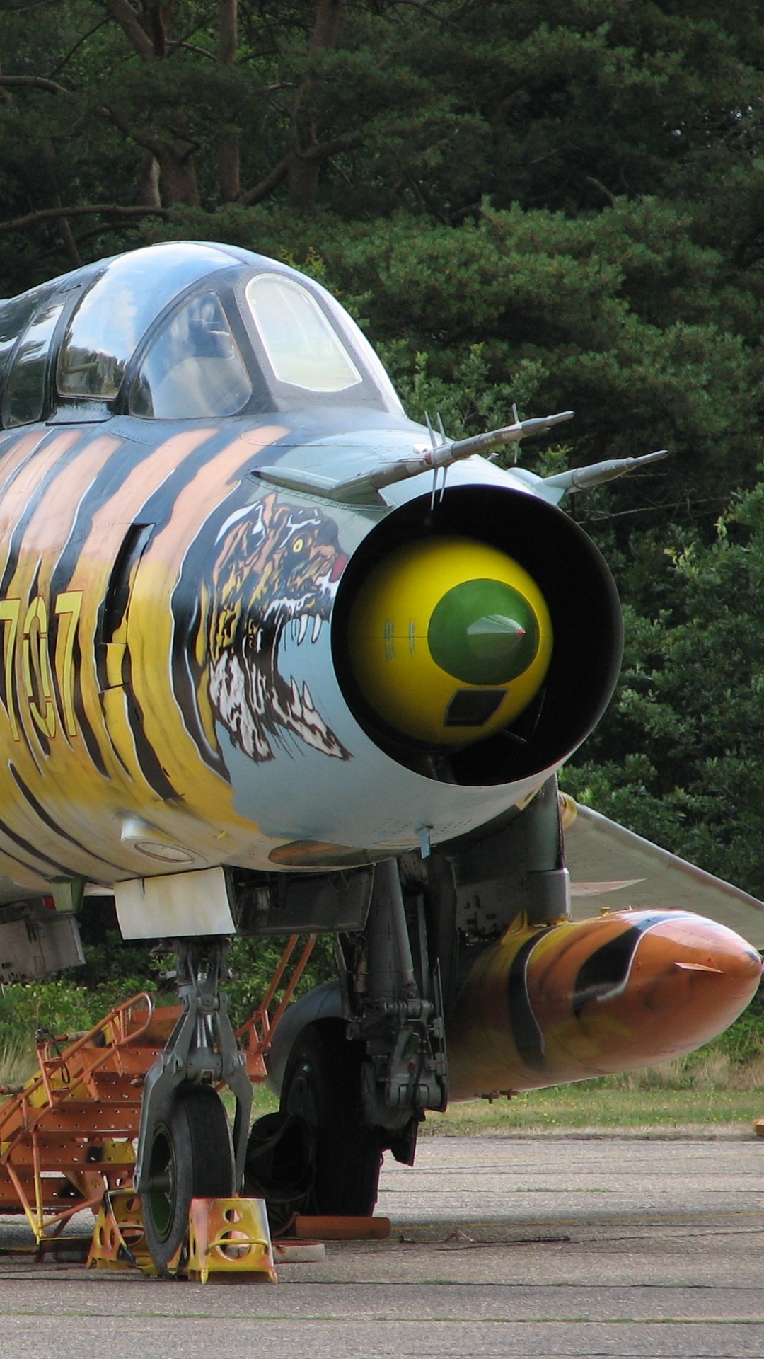 Обои воздушные силы, самолет, самолеты, авиация, реактивный самолет в разрешении 1080x1920