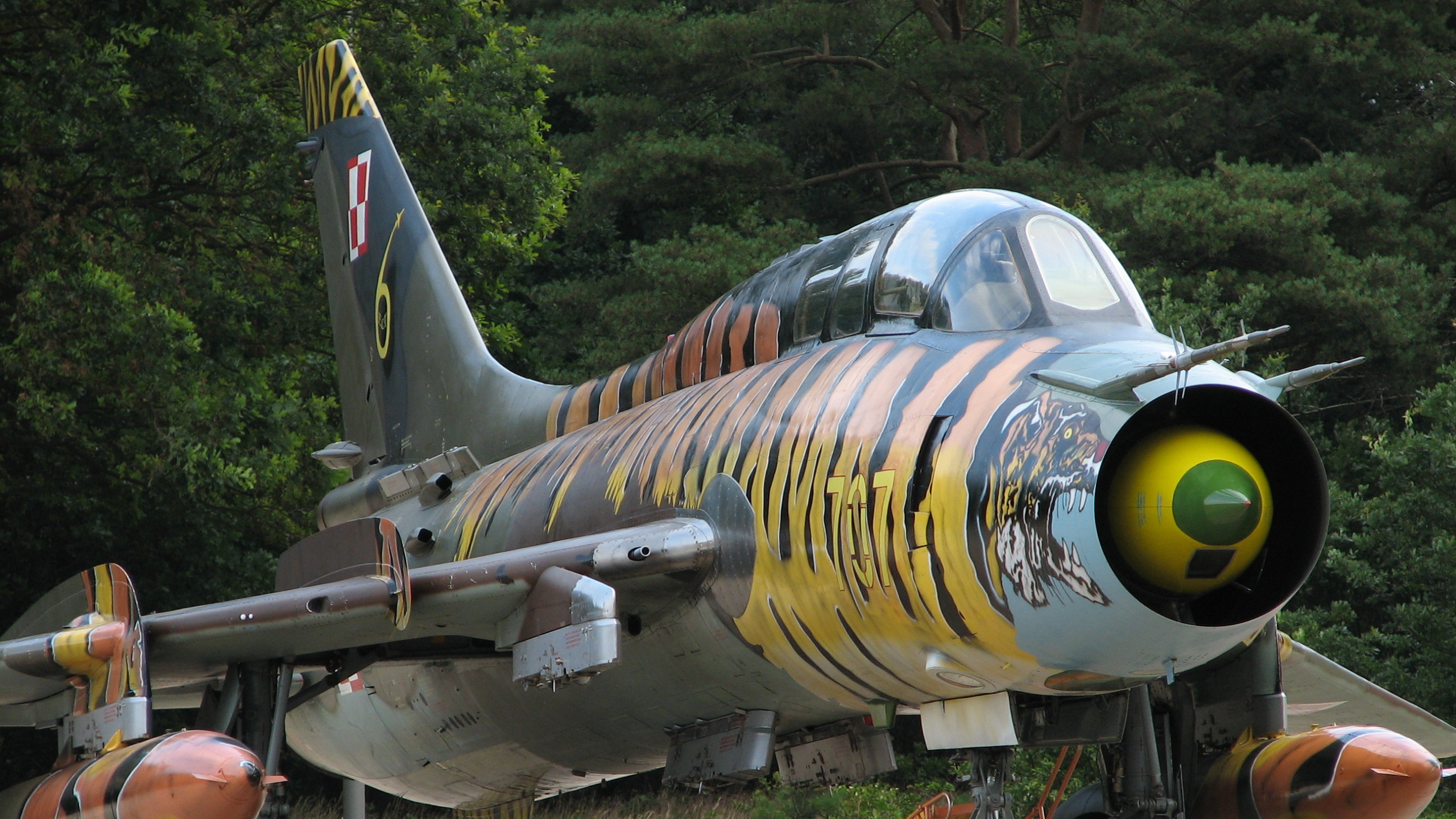 Обои воздушные силы, самолет, самолеты, авиация, реактивный самолет в разрешении 2560x1440