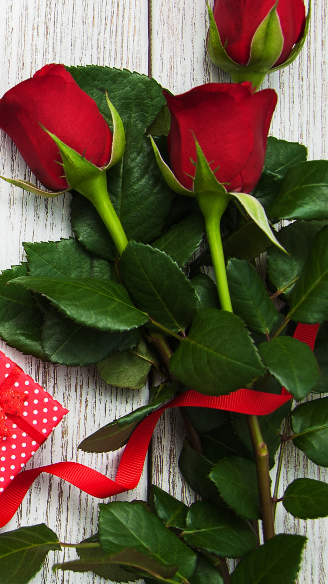 Обои лепесток, цветок, сердце, любовь, День Святого Валентина в разрешении 1080x1920