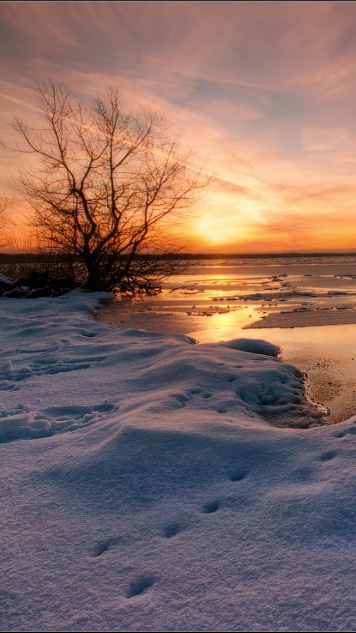 Обои снег, замораживание, горизонт, утро, берег в разрешении 720x1280