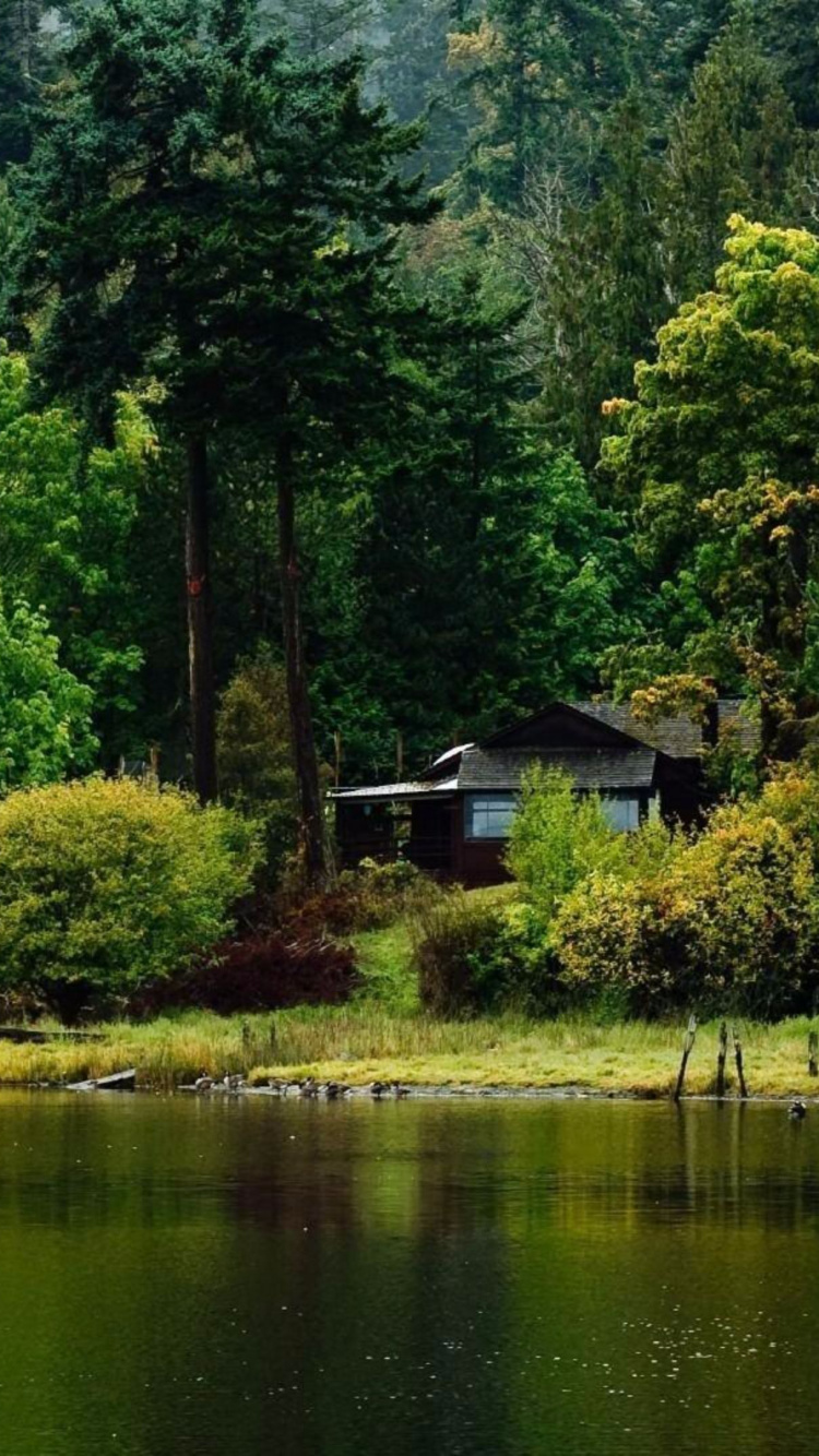 Обои природа, карманные компьютеры, старовозрастные леса, моренное озеро, дикая местность в разрешении 750x1334