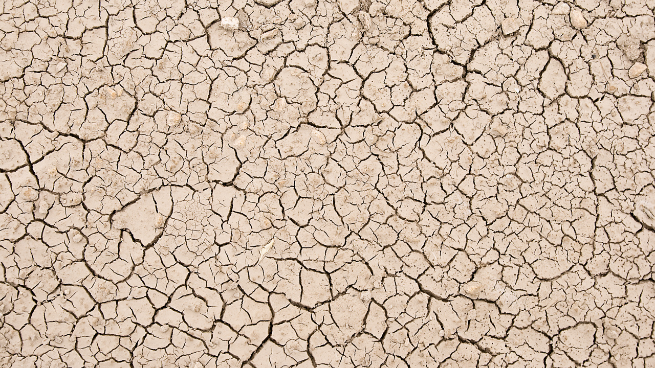 Обои текстура, арт, почва, засуха, узор в разрешении 1280x720