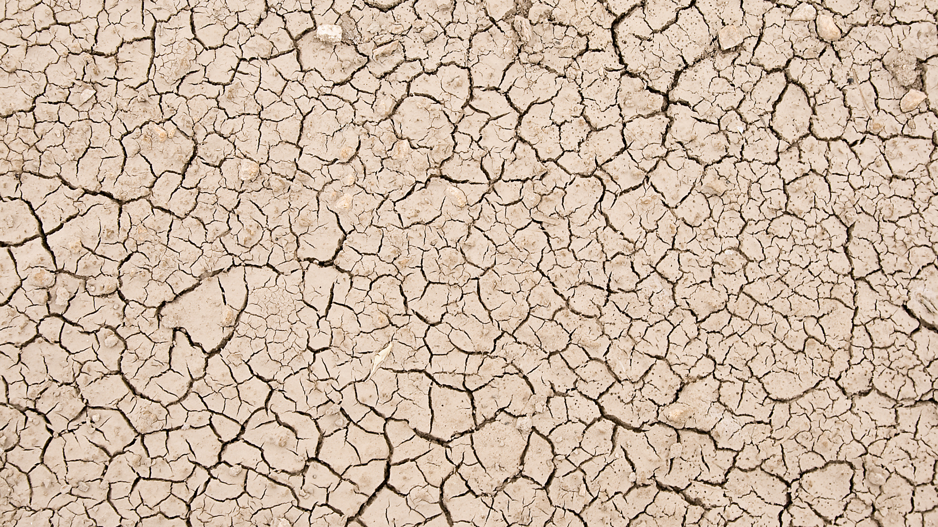 Обои текстура, арт, почва, засуха, узор в разрешении 1920x1080