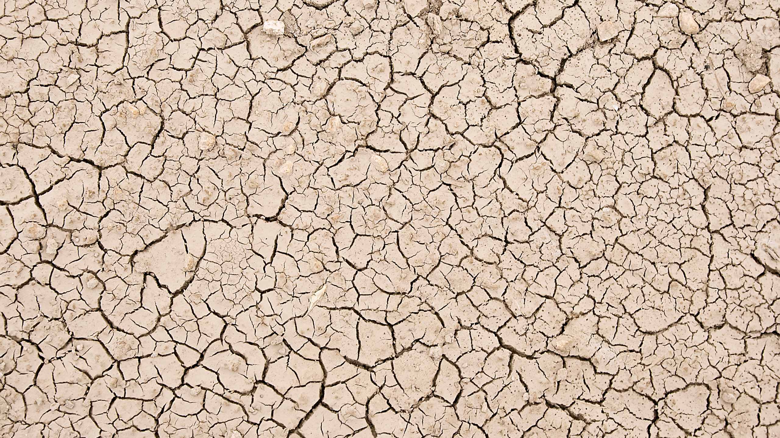 Обои текстура, арт, почва, засуха, узор в разрешении 2560x1440