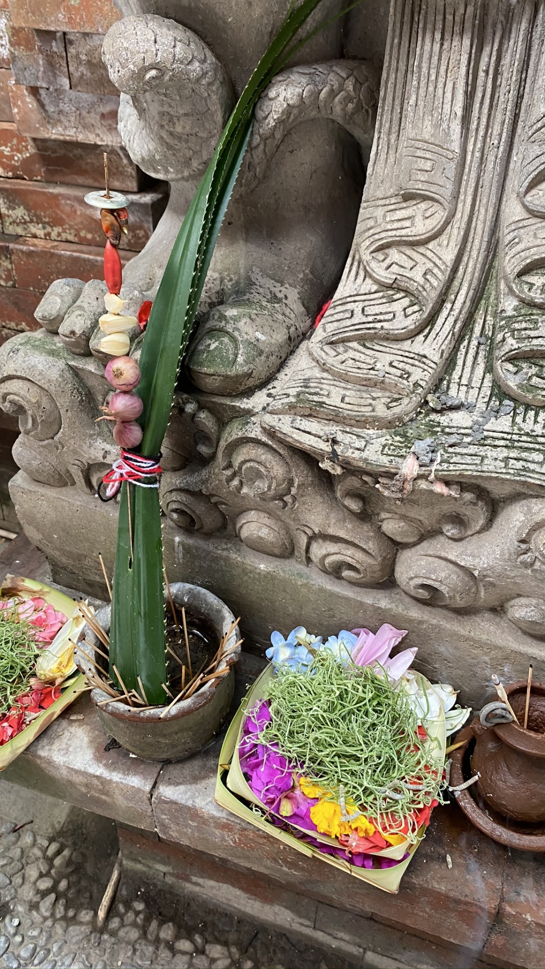 Обои бали, цветок, цветочный горшок, арт, флористики в разрешении 1080x1920