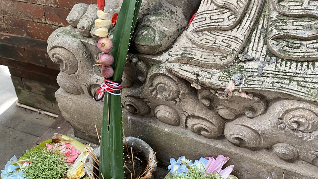 Обои бали, цветок, цветочный горшок, арт, флористики в разрешении 1280x720