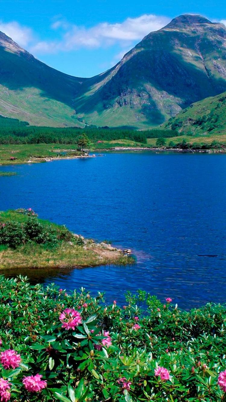 Обои природа, дикая местность, растительность, полевой цветок, горы в разрешении 750x1334