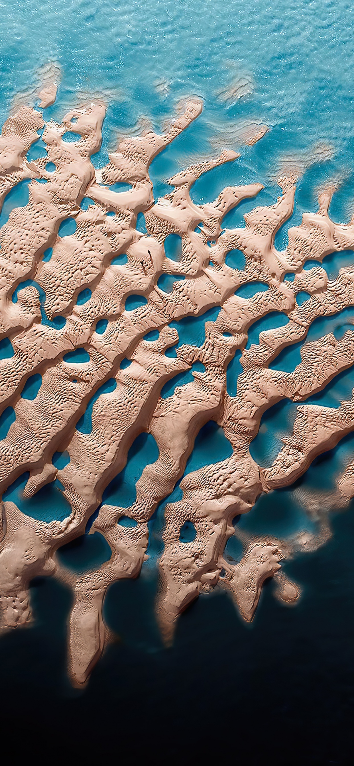 Обои вода, море, морская биология, лазурный, ткань в разрешении 1242x2688