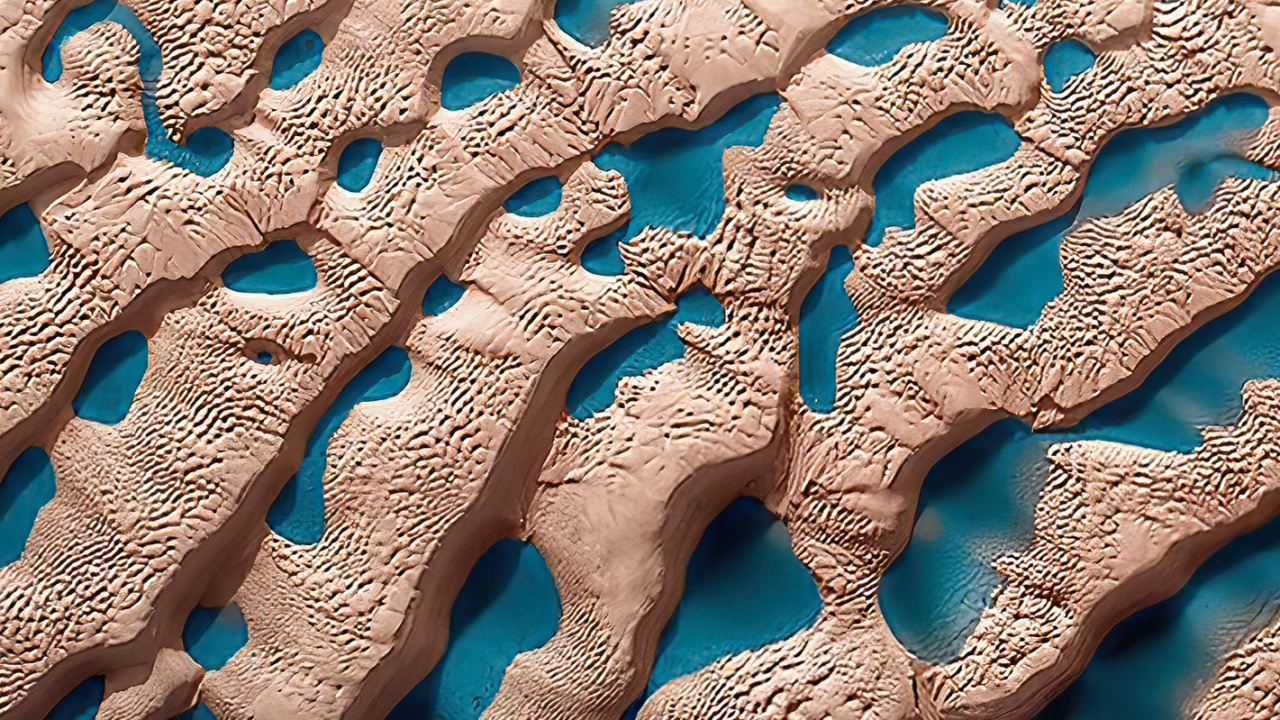 Обои вода, море, морская биология, лазурный, ткань в разрешении 1280x720