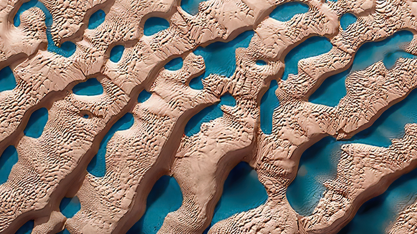 Обои вода, море, морская биология, лазурный, ткань в разрешении 1366x768