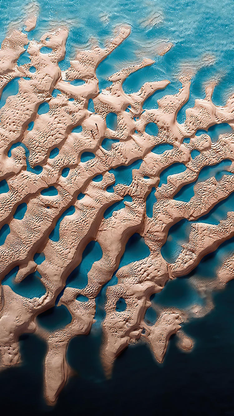 Обои вода, море, морская биология, лазурный, ткань в разрешении 750x1334