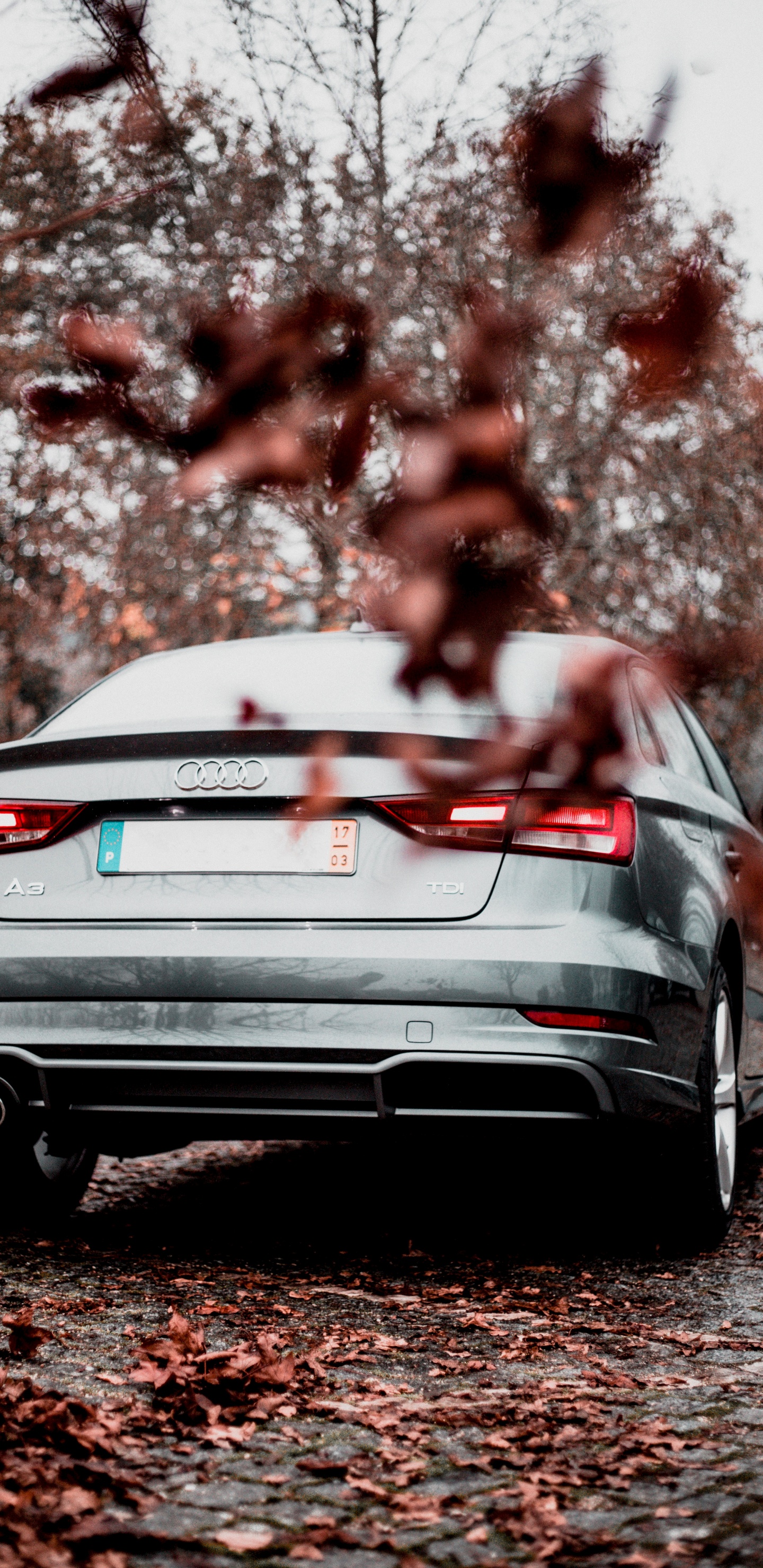 Обои Ауди А3, audi, авто, автомобильный экстерьер, семейный автомобиль в разрешении 1440x2960