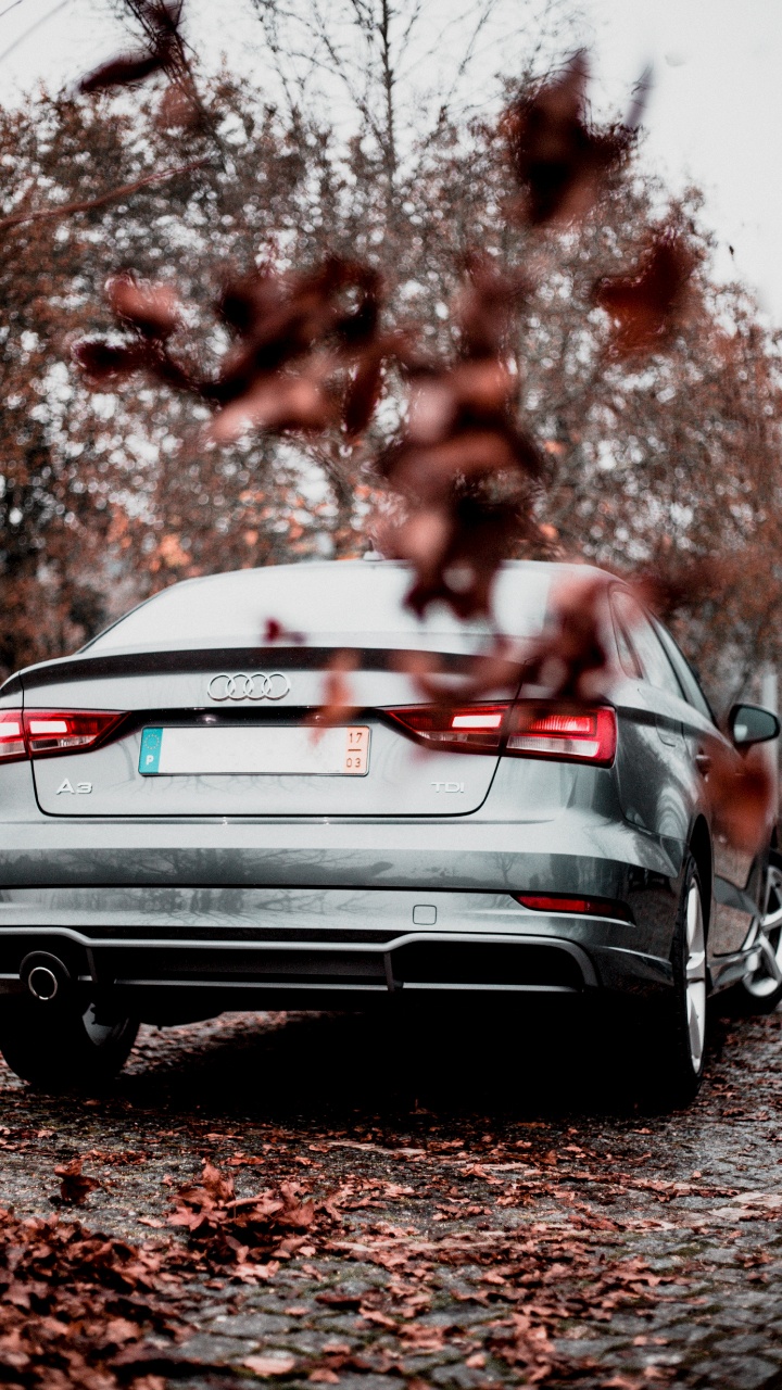 Обои Ауди А3, audi, авто, автомобильный экстерьер, семейный автомобиль в разрешении 720x1280