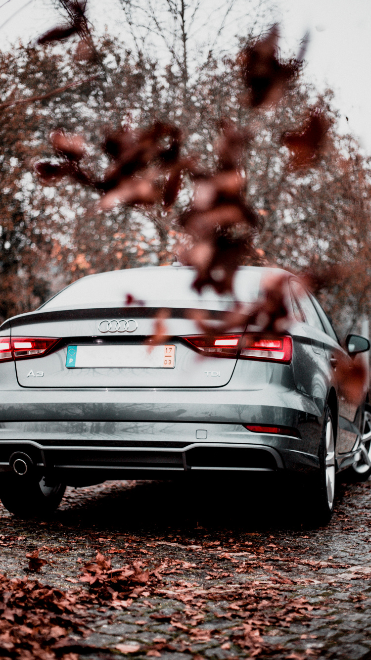 Обои Ауди А3, audi, авто, автомобильный экстерьер, семейный автомобиль в разрешении 750x1334