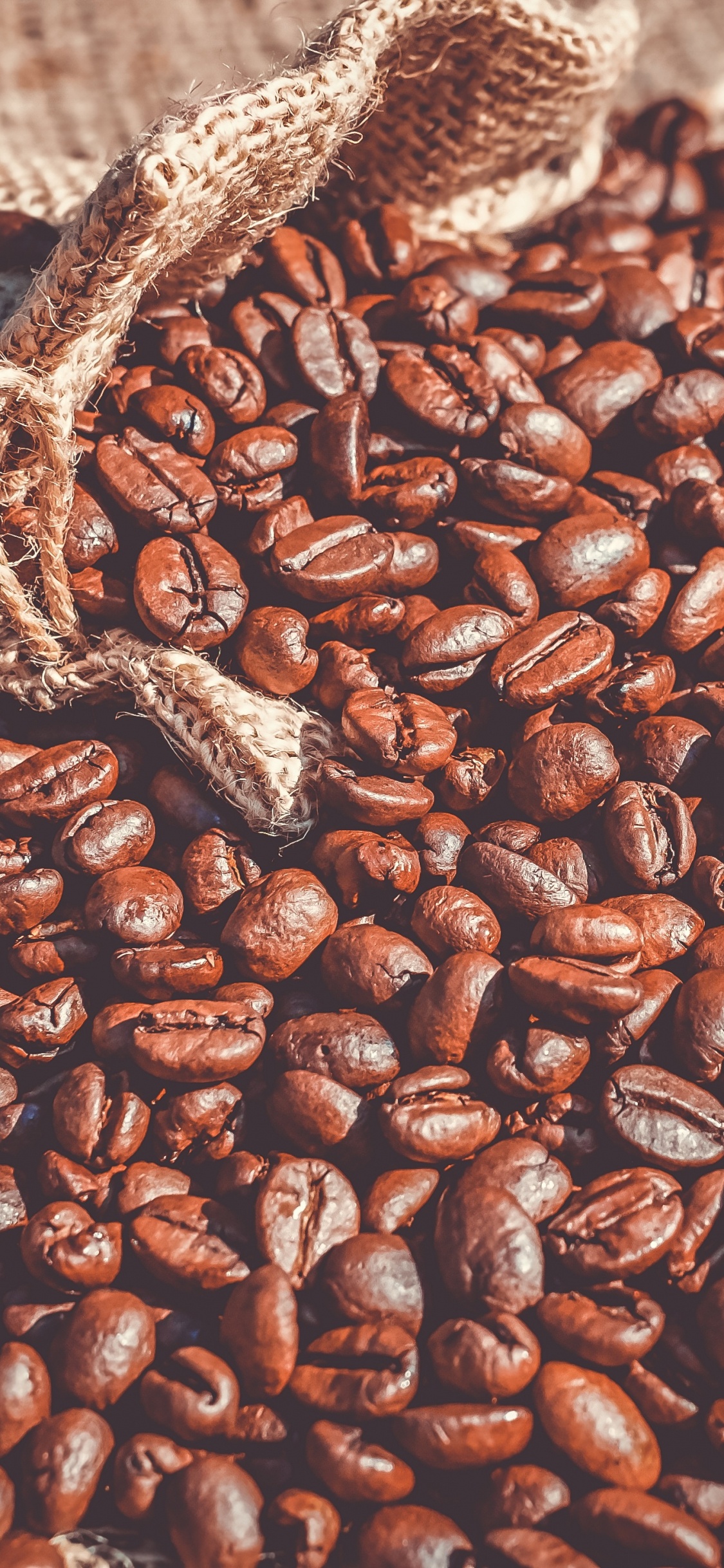 Обои кофе, арабика, кофейное зерно, обжарка кофе, боб в разрешении 1125x2436
