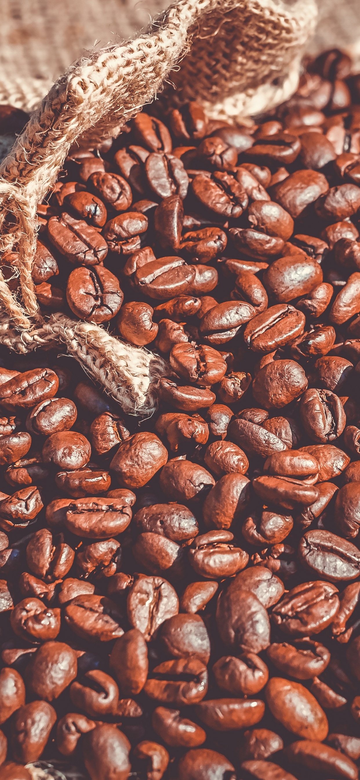 Обои кофе, арабика, кофейное зерно, обжарка кофе, боб в разрешении 1242x2688