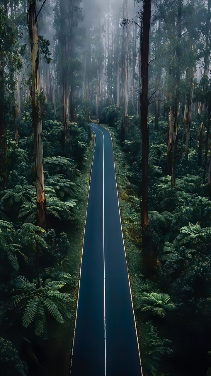 Обои природа, красавица, портрет, ветвь, дорога в разрешении 720x1280