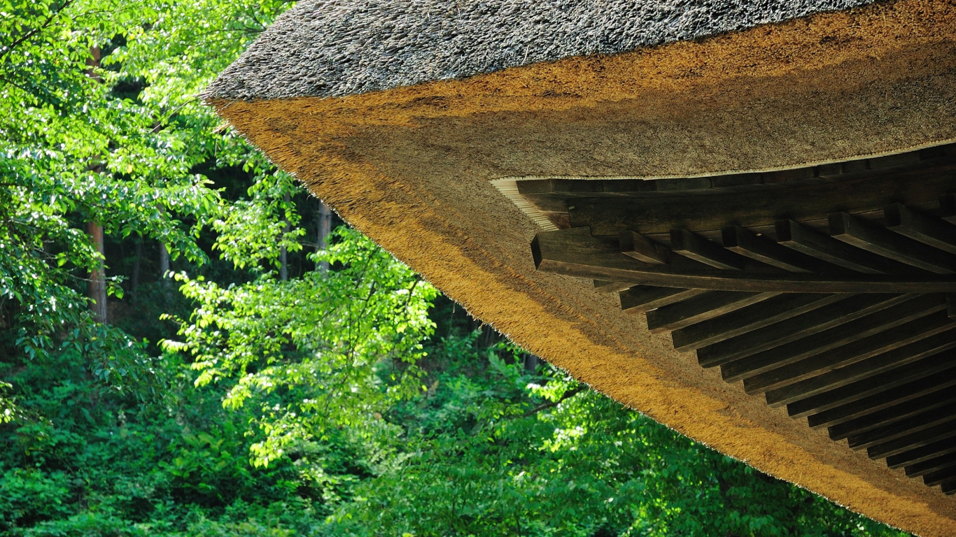 Обои зеленый, крыша, дерево, лес, биом в разрешении 1366x768