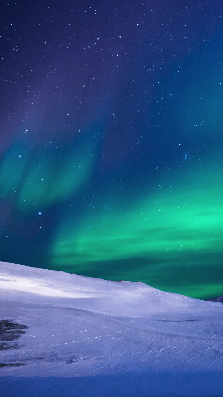 Обои Аврора, природа, атмосфера, Арктика, замораживание в разрешении 750x1334