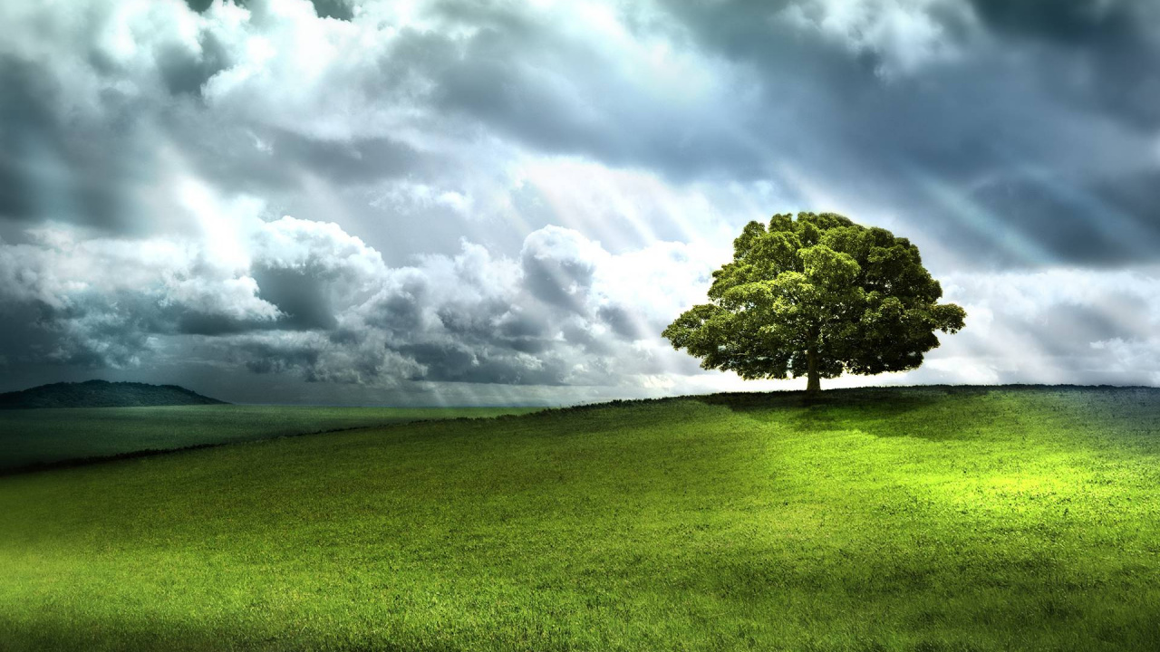 Обои asus, андроид, природа, сенокосное угодье, облако в разрешении 1280x720