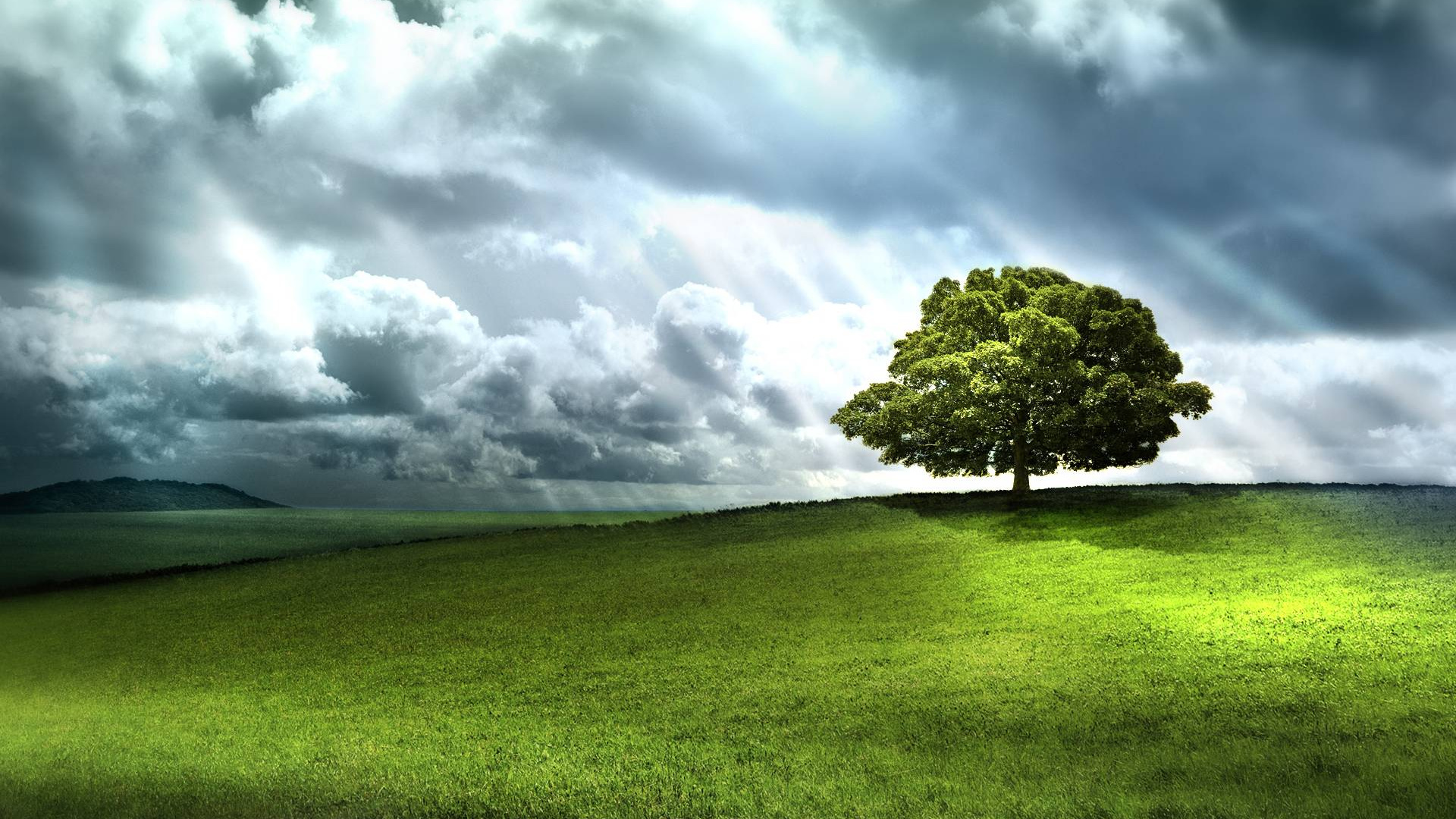 Обои asus, андроид, природа, сенокосное угодье, облако в разрешении 1920x1080