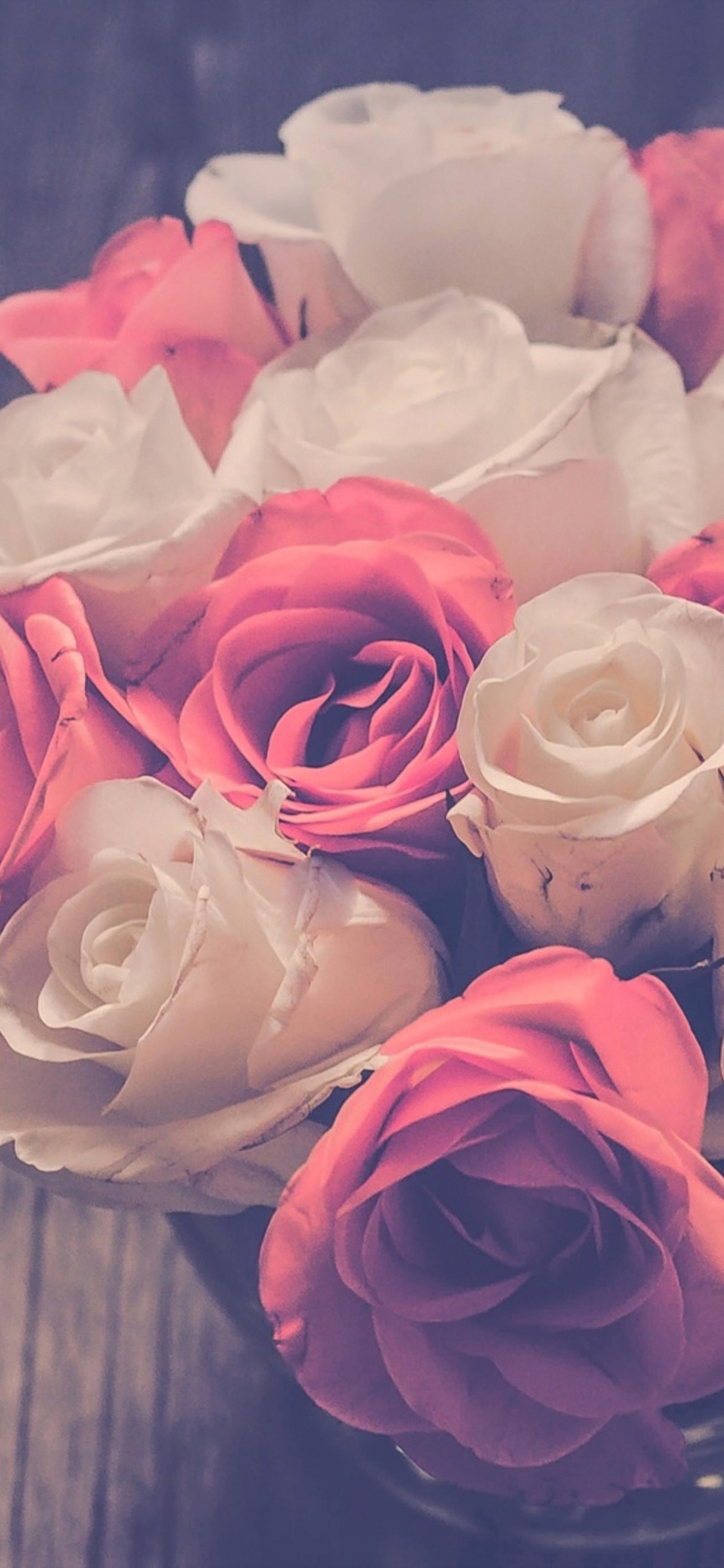 Обои сад роз, цветочный дизайн, цветок, Роза, розовый в разрешении 1125x2436