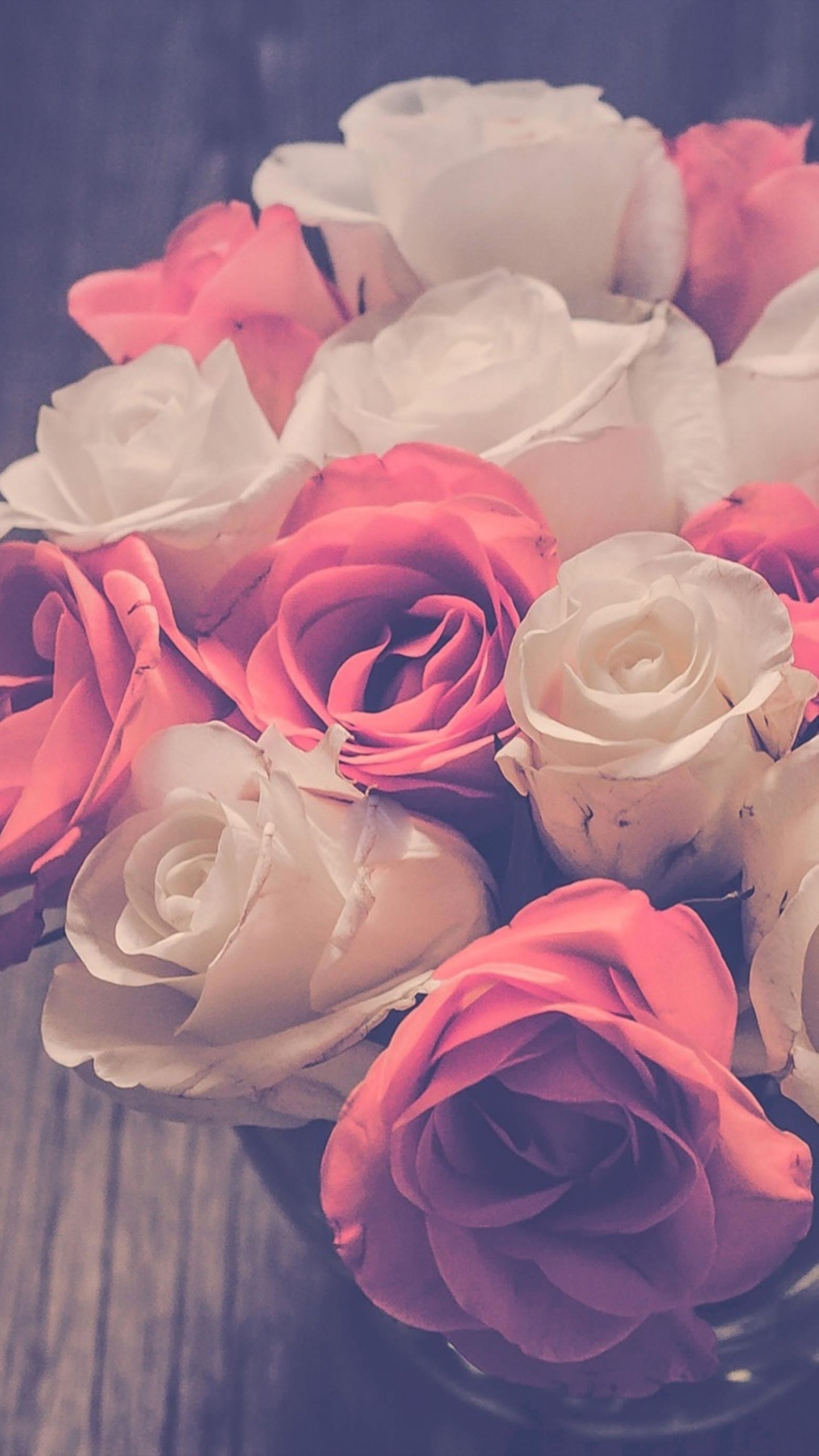 Обои сад роз, цветочный дизайн, цветок, Роза, розовый в разрешении 1440x2560