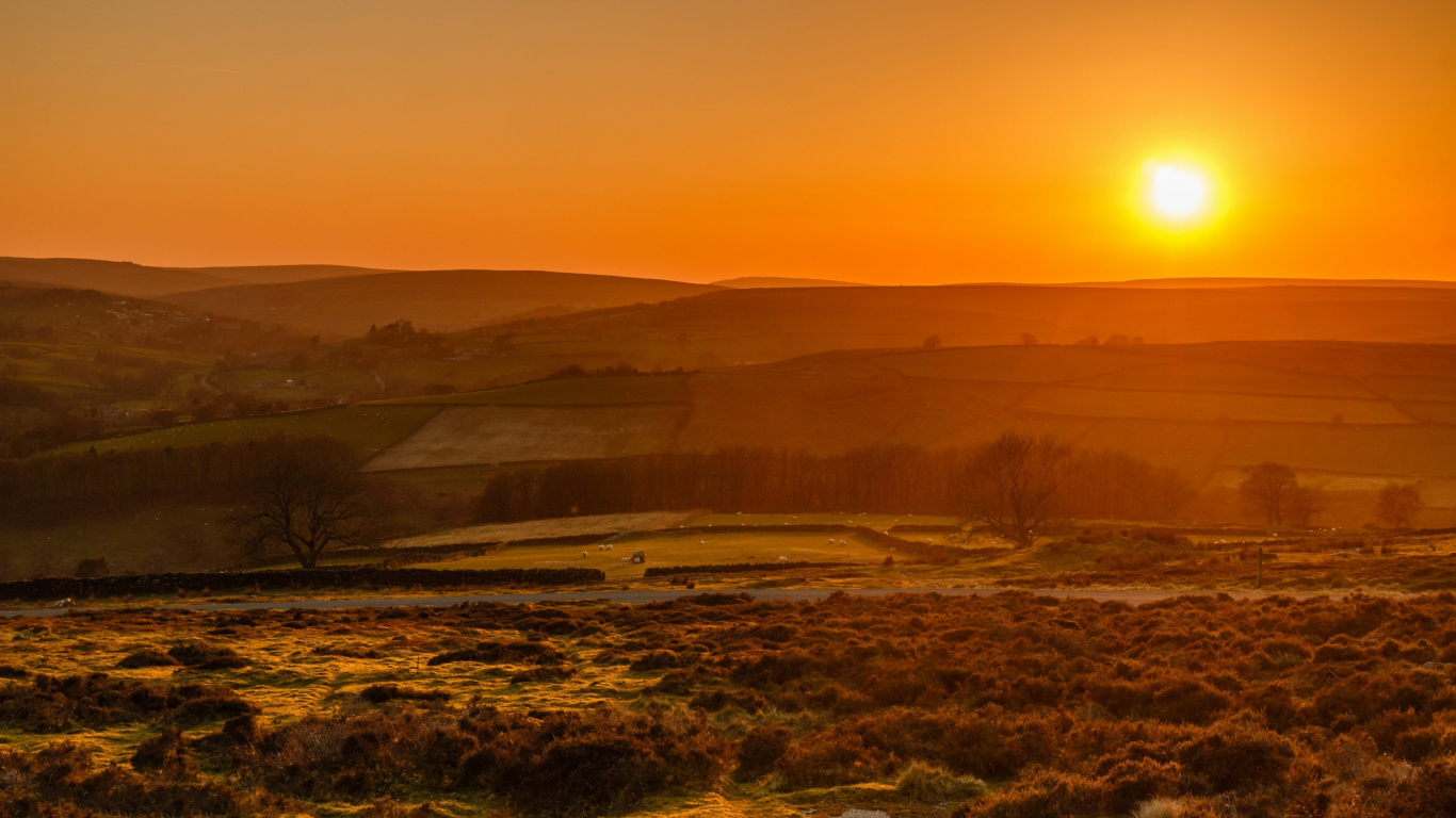 Обои природа, растение, атмосфера, растительное сообщество, послесвечение в разрешении 1366x768