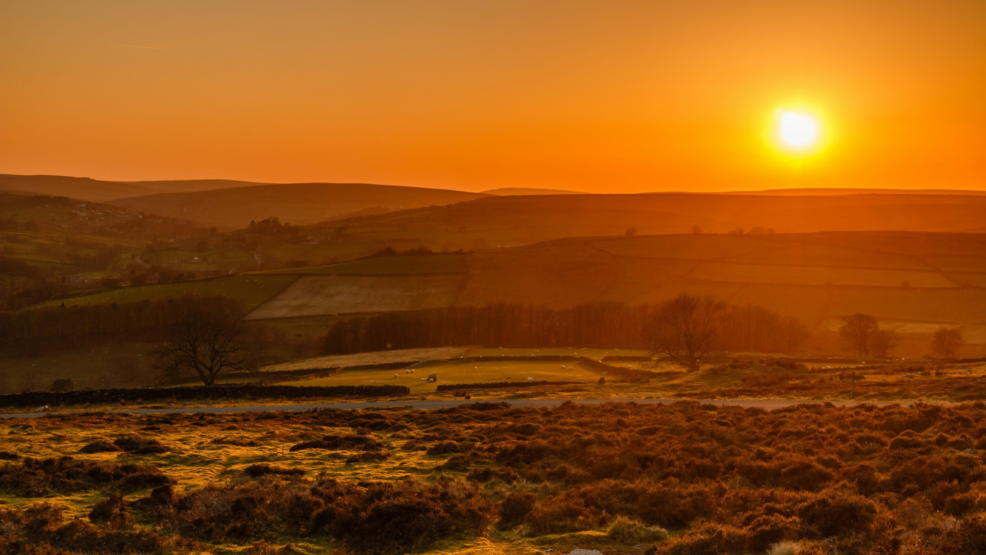 Обои природа, растение, атмосфера, растительное сообщество, послесвечение в разрешении 1920x1080