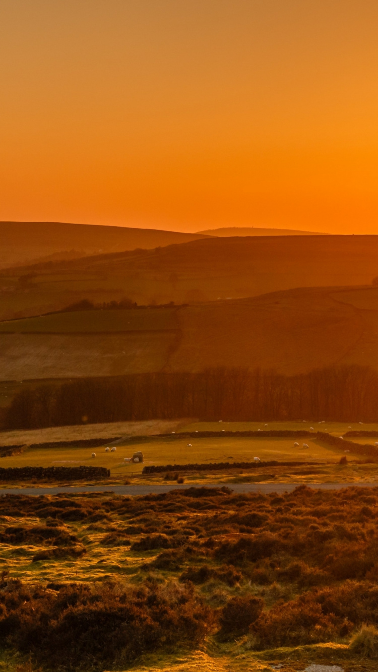 Обои природа, растение, атмосфера, растительное сообщество, послесвечение в разрешении 750x1334