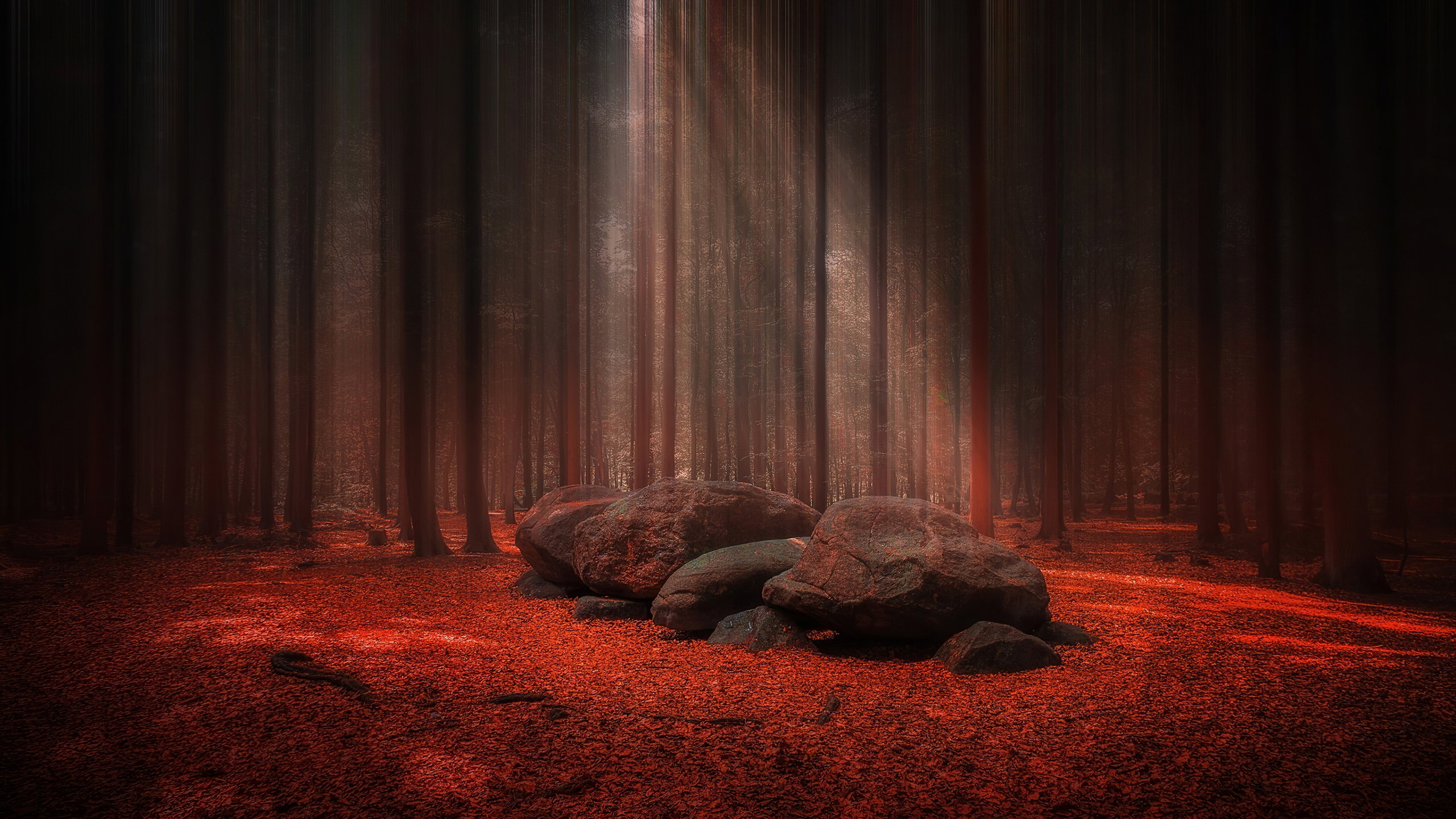 Обои занавес, дерево, театральный занавес, театральные декорации, этап в разрешении 2560x1440