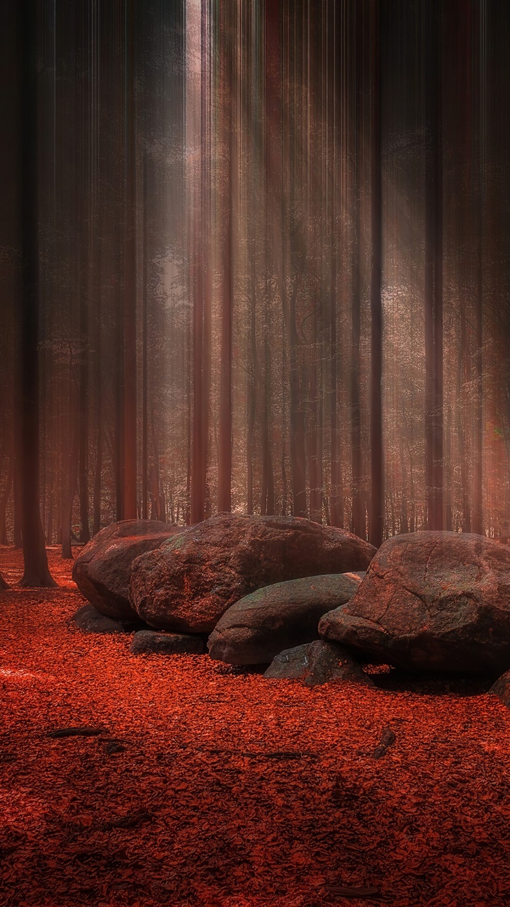 Обои занавес, дерево, театральный занавес, театральные декорации, этап в разрешении 720x1280