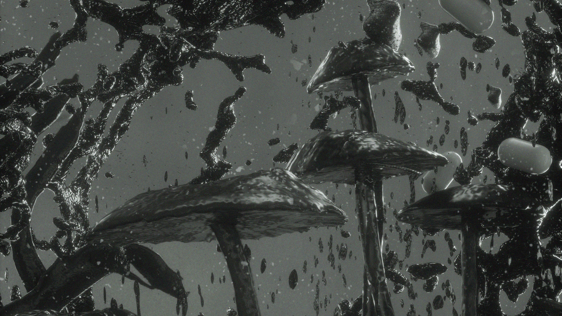 Обои черный, монохромный, вода, дерево, растение в разрешении 1920x1080