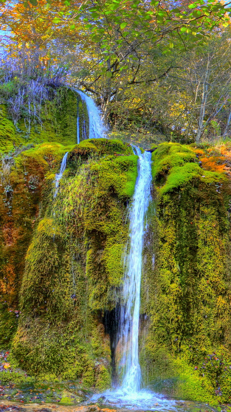 Обои водопад, природа, вода, лист, природный заповедник в разрешении 750x1334