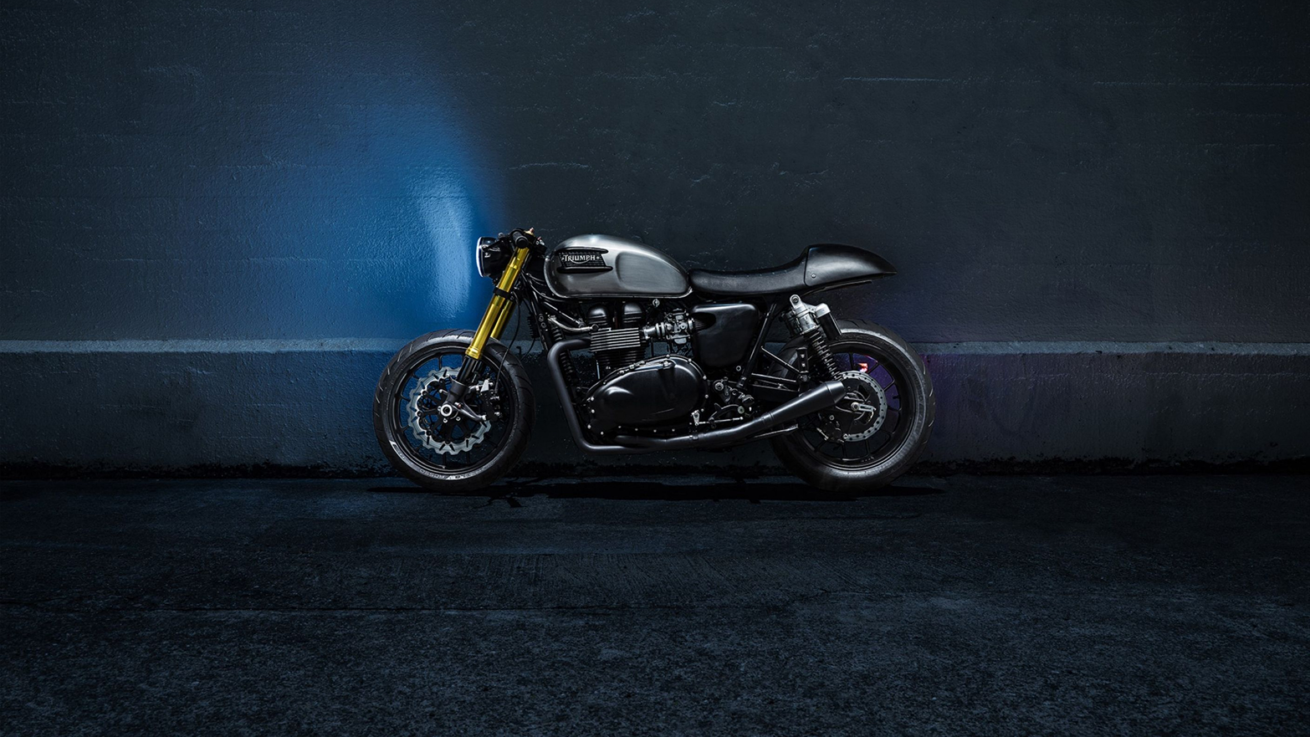 Обои Мотоциклы Triumph, мотоцикл, авто, автомобильное освещение, шина в разрешении 2560x1440