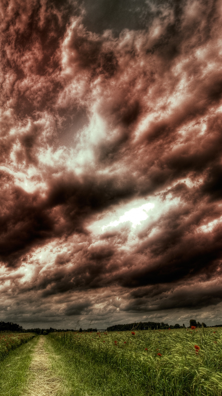 Обои облако, природа, дневное время, атмосфера, дерево в разрешении 750x1334