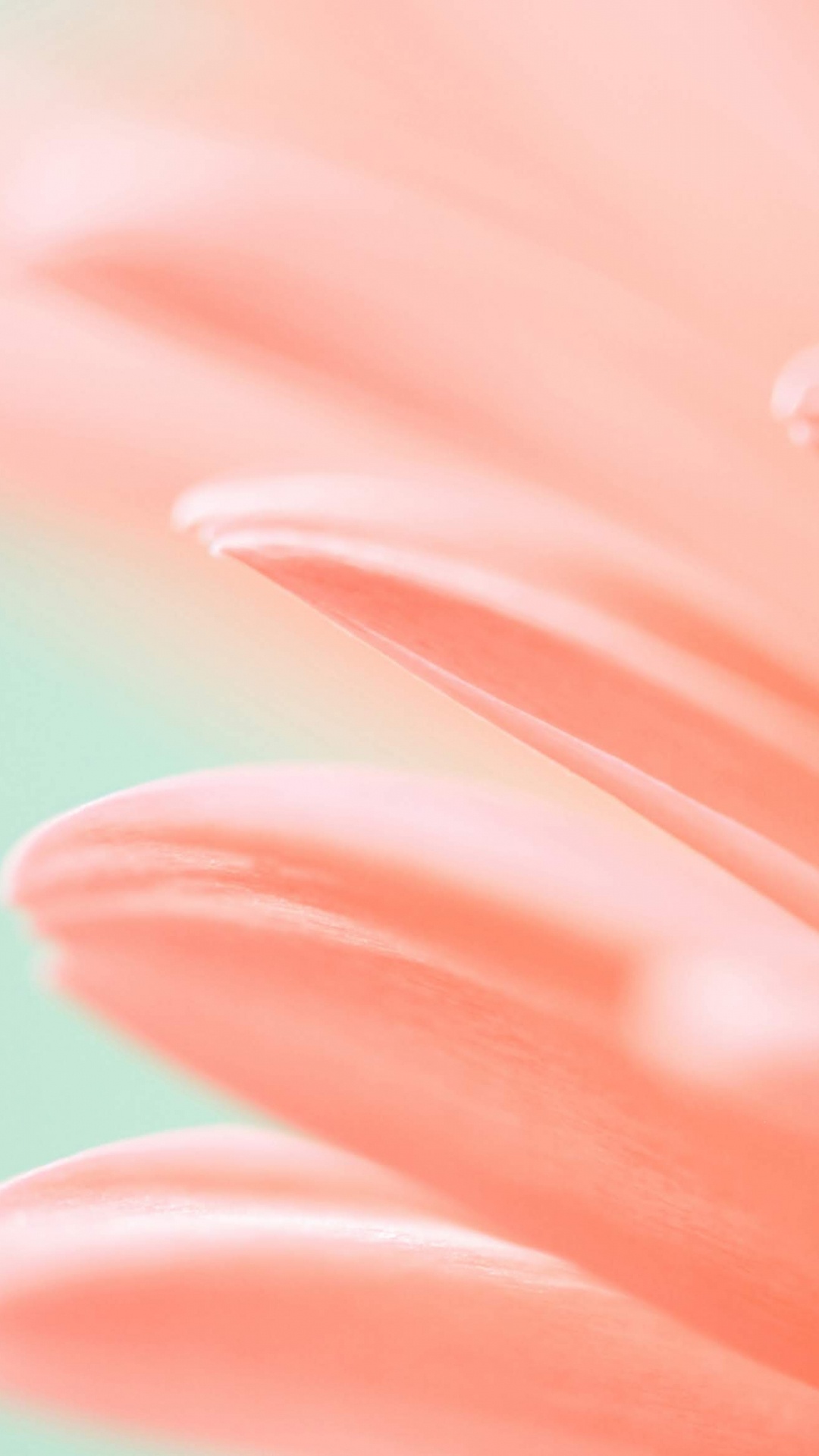 Обои Huawei, Honor Magic 2, huawei mediapad m5, huawei emui, смартфон в разрешении 1080x1920