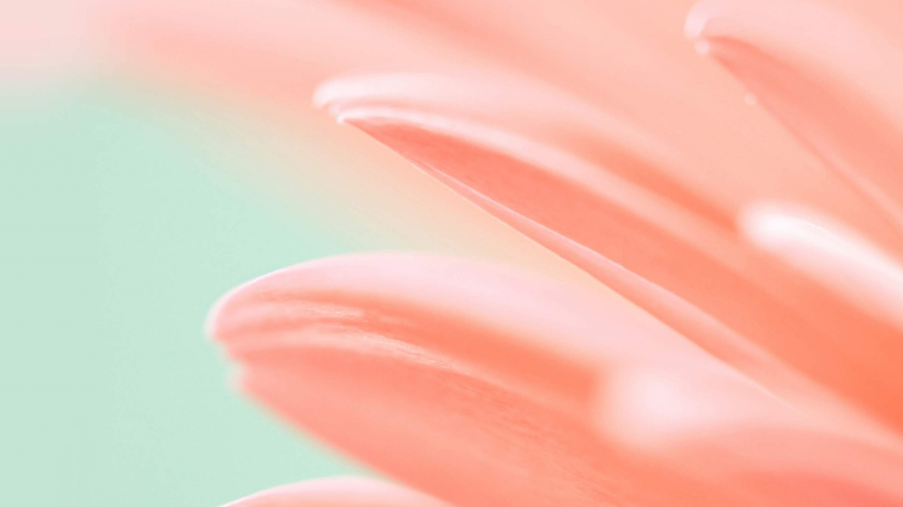 Обои Huawei, Honor Magic 2, huawei mediapad m5, huawei emui, смартфон в разрешении 1280x720