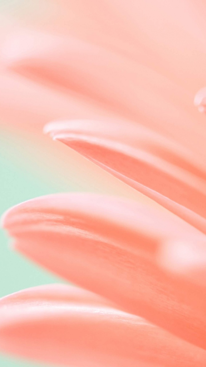 Обои Huawei, Honor Magic 2, huawei mediapad m5, huawei emui, смартфон в разрешении 720x1280